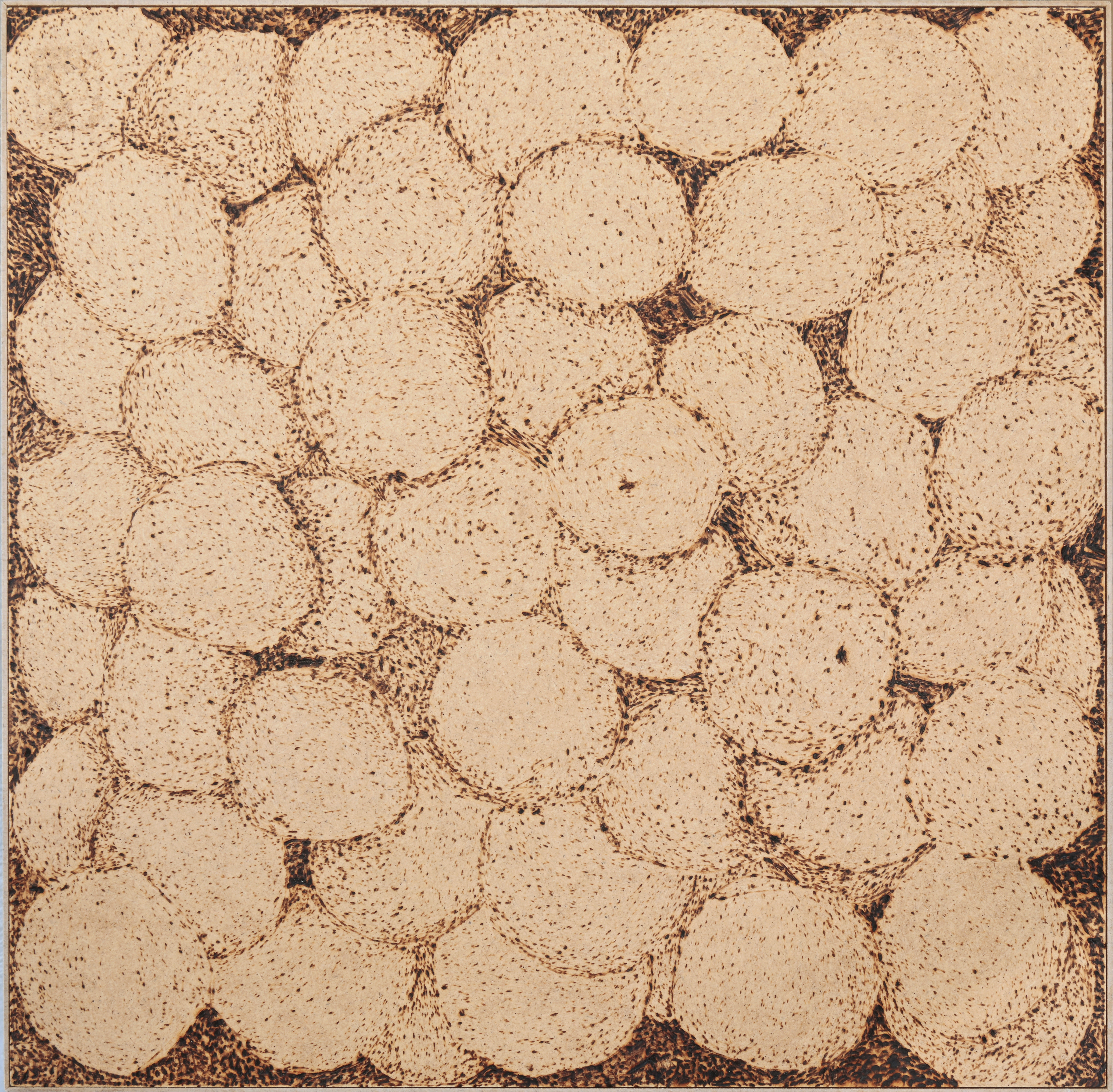 my sun,my  sun,what have you done?